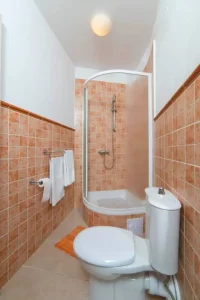 The shower room and toilet